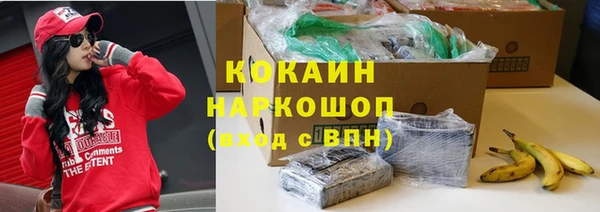 стаф Кинешма