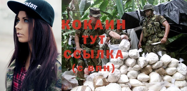 стаф Кинешма