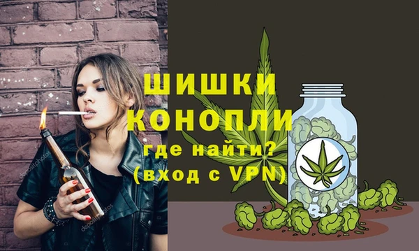 стаф Кинешма