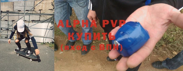 стаф Кинешма