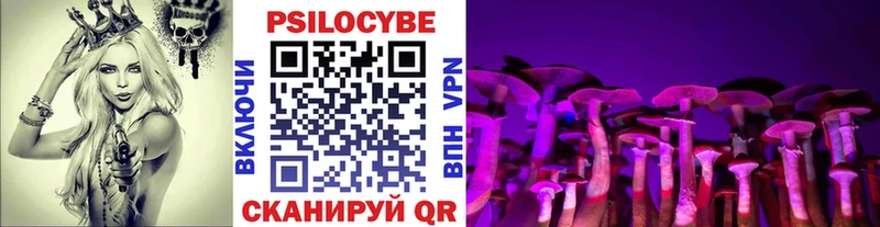 Купить закладки  Кумертау  Галлюциногенные грибы Psilocybine cubensis 